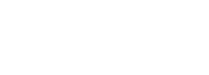 Government of Ireland